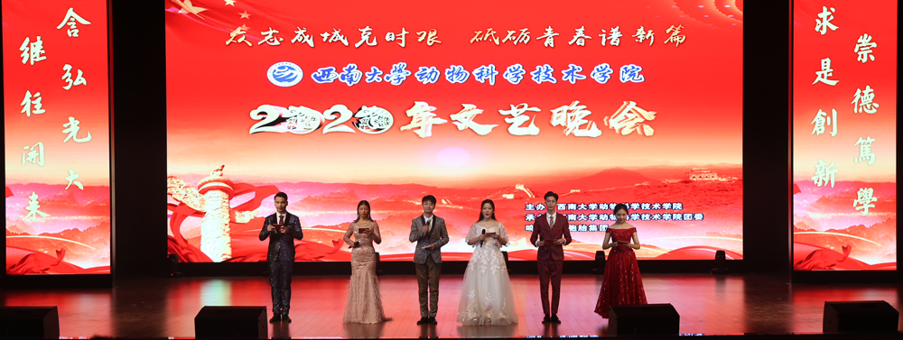 晚会现场.png